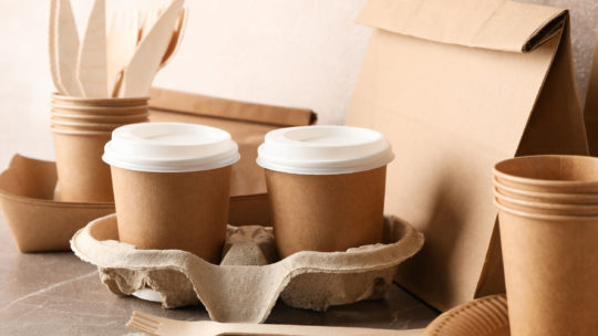 Pourquoi passer à la vaisselle biodégradable ?